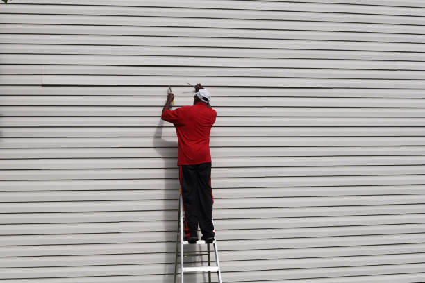 Best Fascia and Soffit Installation  in Defiance, OH