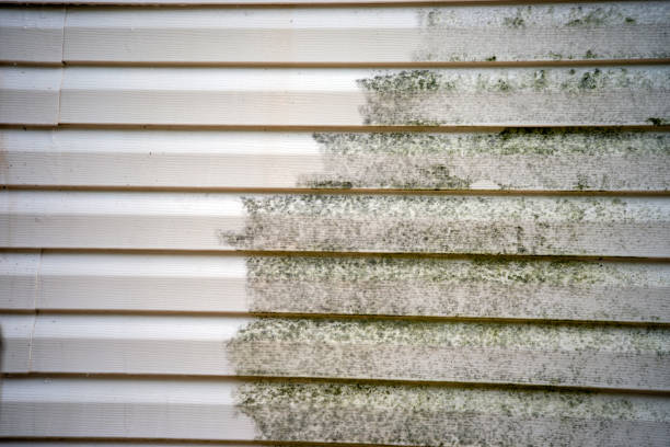 Best Brick Veneer Siding  in Defiance, OH
