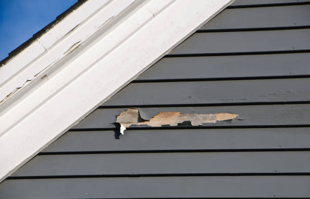 Best Insulated Siding Installation  in Defiance, OH